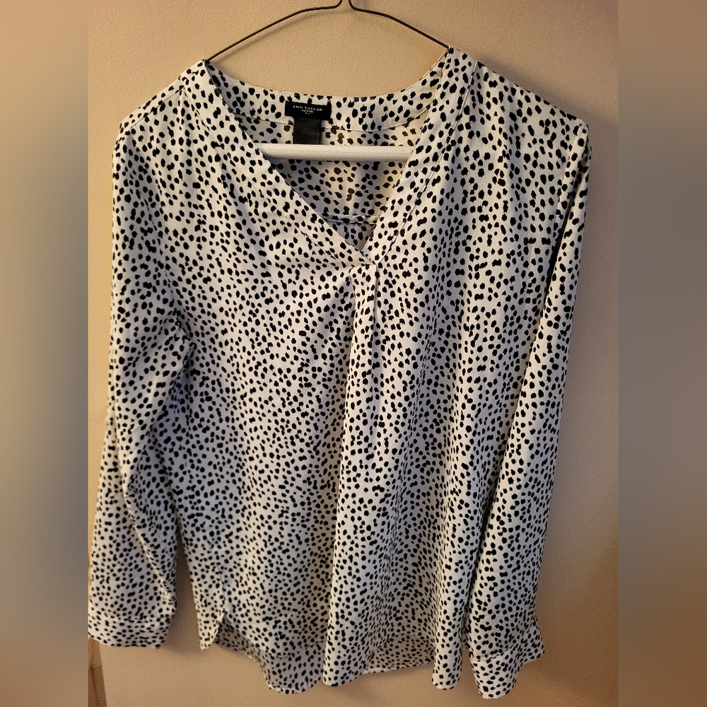 Ann Taylor Black and White Spotted Blouse